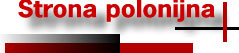 Polska Agencja Informacyjna